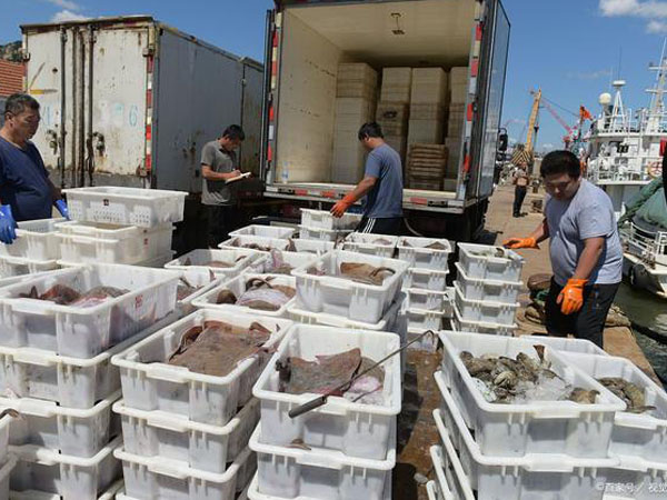 Comment les indicateurs de température protègent les fruits de mer pendant le transport
